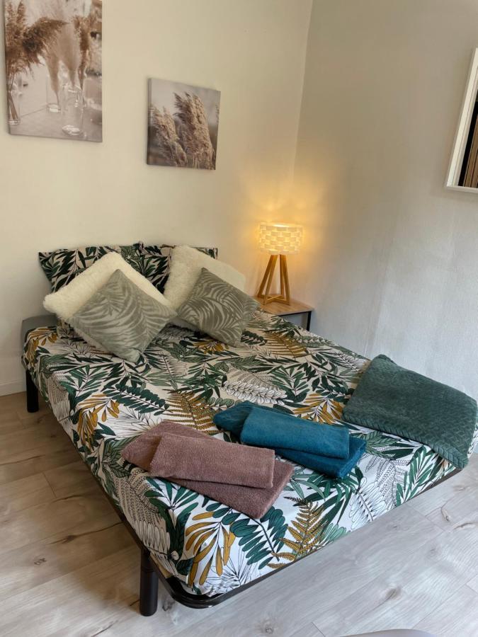 Appartement T2 Plein Centre Au 1Er Etage Avec Parking Prive à Millau Extérieur photo