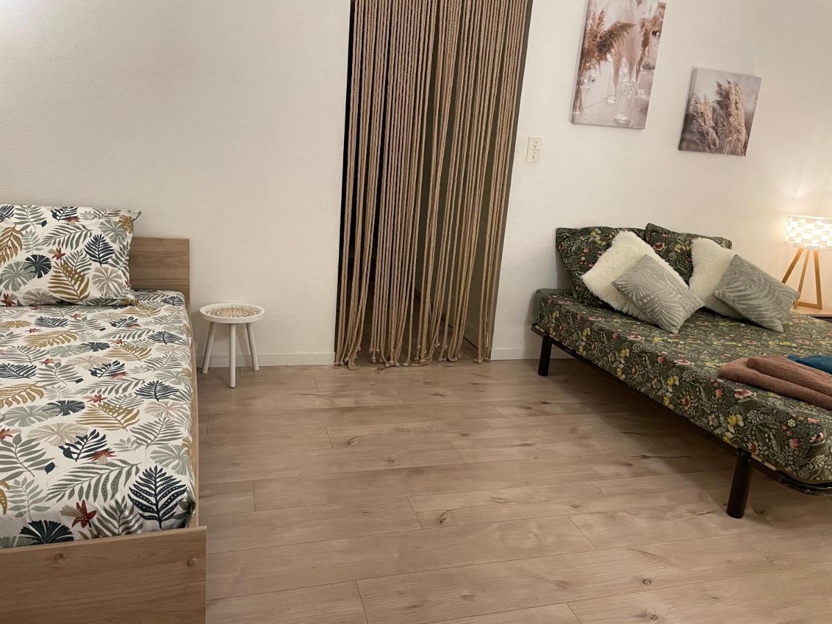 Appartement T2 Plein Centre Au 1Er Etage Avec Parking Prive à Millau Extérieur photo